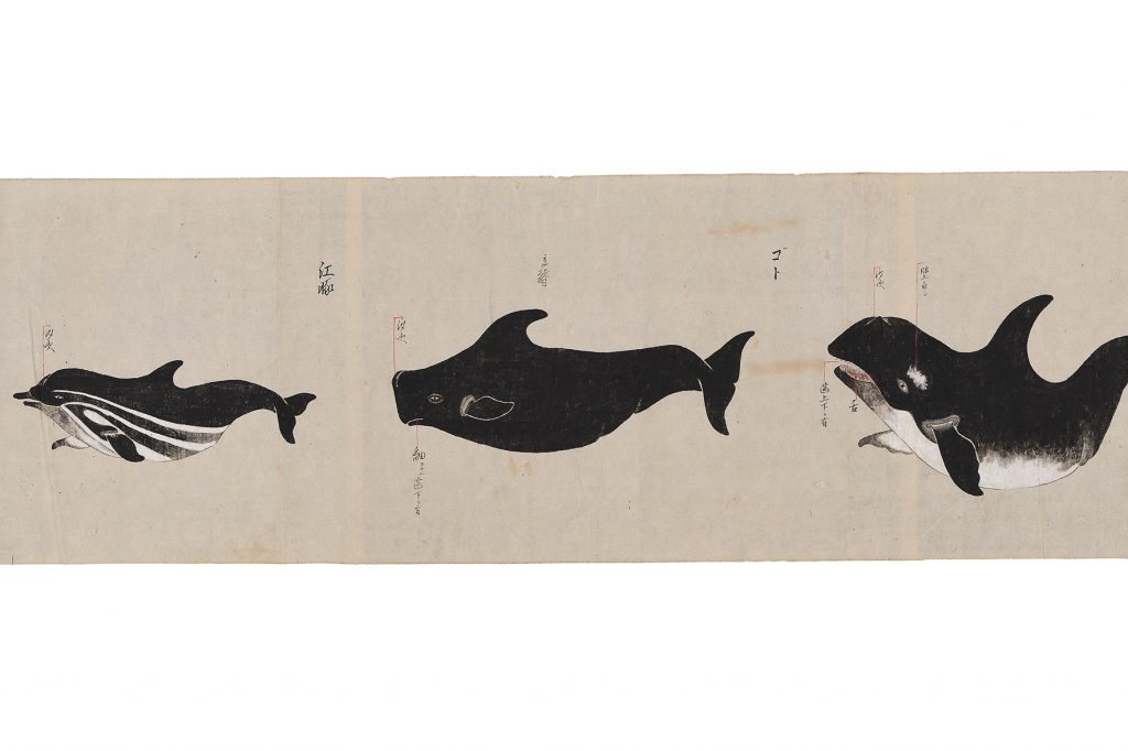 古座「鯨絵ノ巻」 | 耳ヨリくじら情報 | くじらタウン