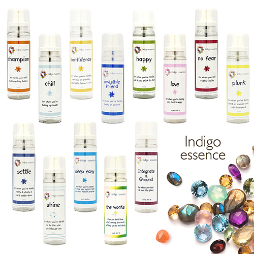 こどもたちの明るい笑顔と幸せな未来のために（怒りから抜け出せない子