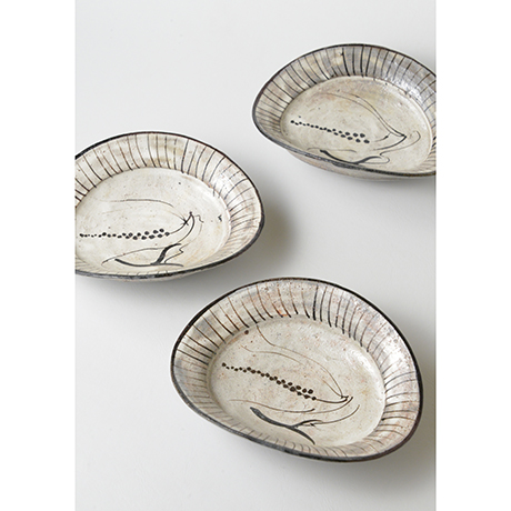 丸田宗彦 粉引絵唐津 向付け 【公式通販】