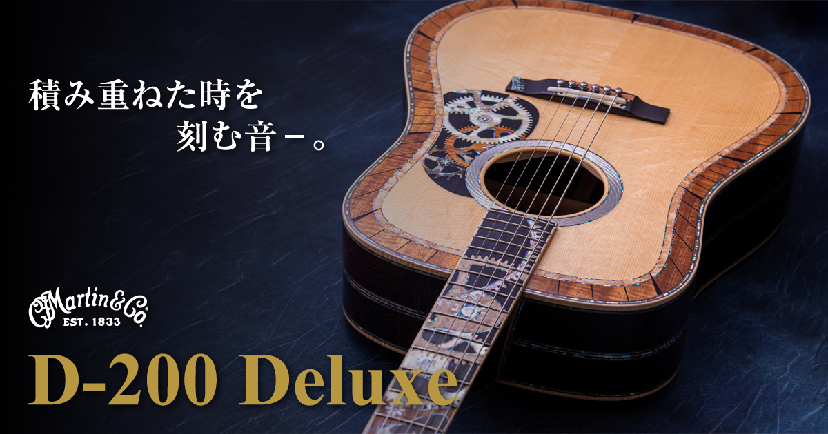 Martin D-200 Deluxe | お茶の水駅前店