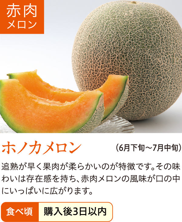 草津メロン｜JAレーク滋賀（レーク滋賀農業協同組合）