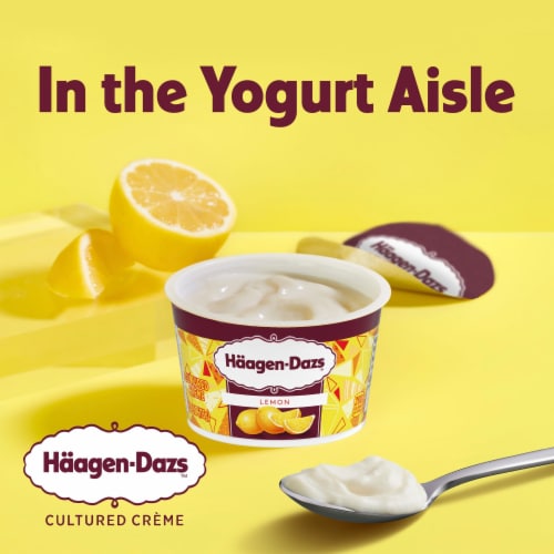 Haagen Dazs Lemon Cultured Crème Yogurt Style Snack, 4 oz