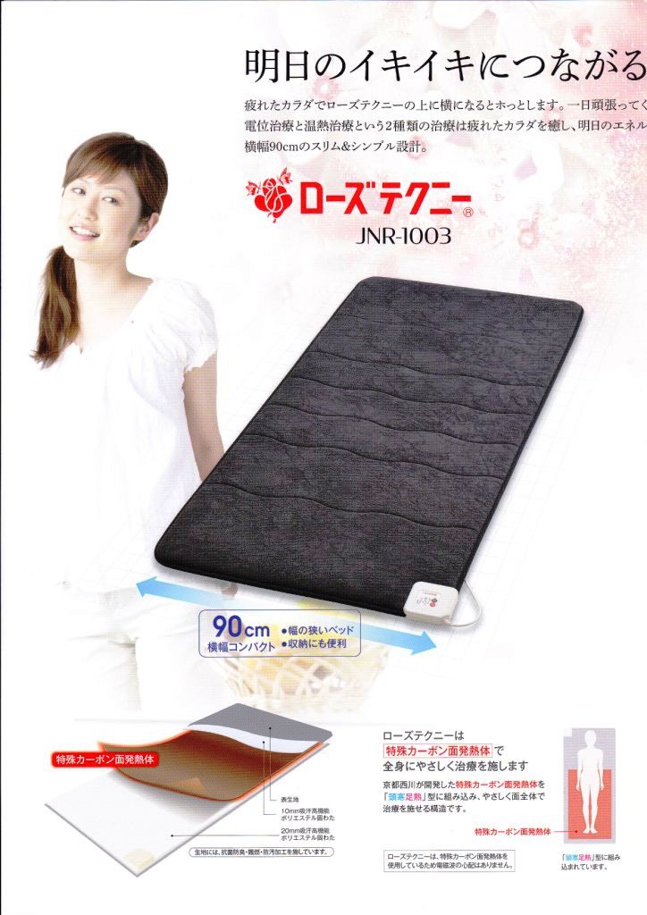 京都西川のローズテクニー キャンペーン中です！！ « 京都市二条の電気