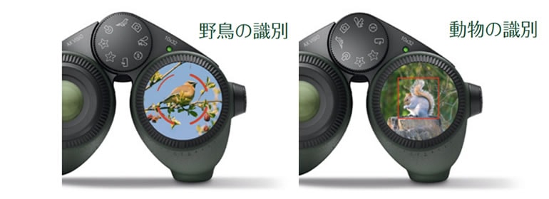 スワロフスキー AX VISIO 10x32 JPN ネイチャーショップKYOEI