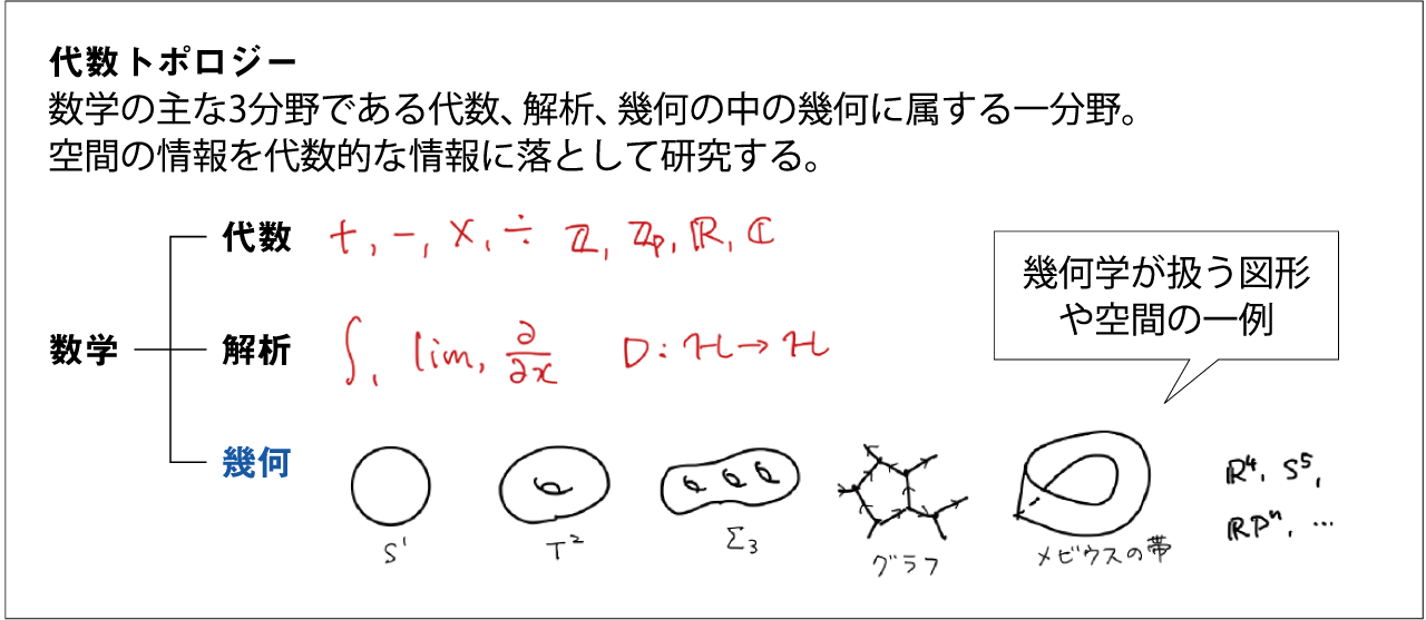 萌芽のきらめき・結実のとき 山下真由子助教 - 京都大学広報誌『紅萠』