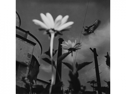 須田 一政 写真展「人間の記憶－Human Memory－」 | 京都で遊ぼうART