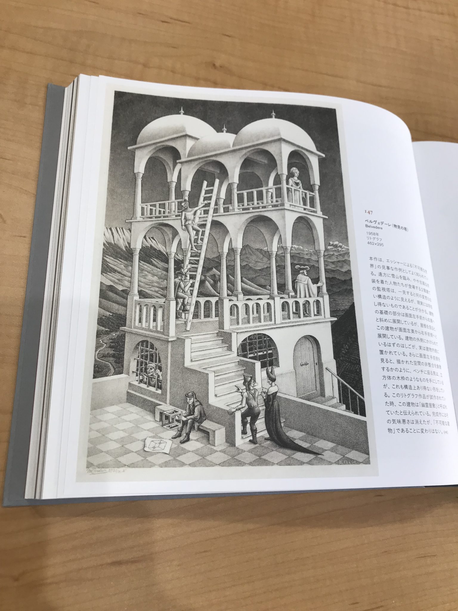 エッシャーの画集｜掲示板｜教養堂｜愛知県江南市の塾｜小学生・中学生