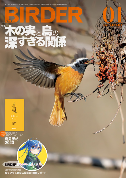美品【BIRDER 】2023年 BIRDER 2023年 09 月号 [雑誌] |本 | 通販 | Amazon