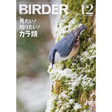 BIRDER 2024年1月号～ Hobby's World｜野鳥撮影やバードウォッチングの