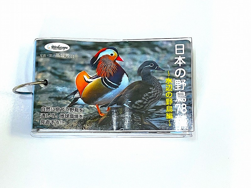 Birdscape オリジナルA4クリアファイル3種セット Hobby's World｜野鳥