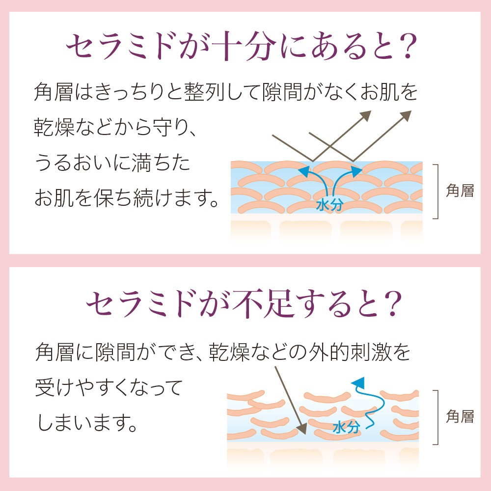 ハウス オブ ローゼ パワーサージ ジェルDX
