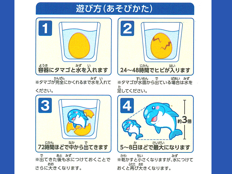 100景品 海の仲間たちのたまご|【堀商店】景品・販促品・お祭り用品の