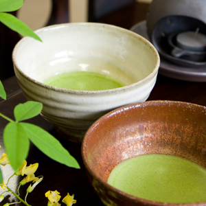 星野製茶園 オンラインショップ / 星野抹茶 「八女の華」20gチャック袋