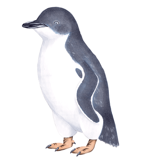 ペンギンライブラリー［Penguin Library］｜ホシザキ株式会社