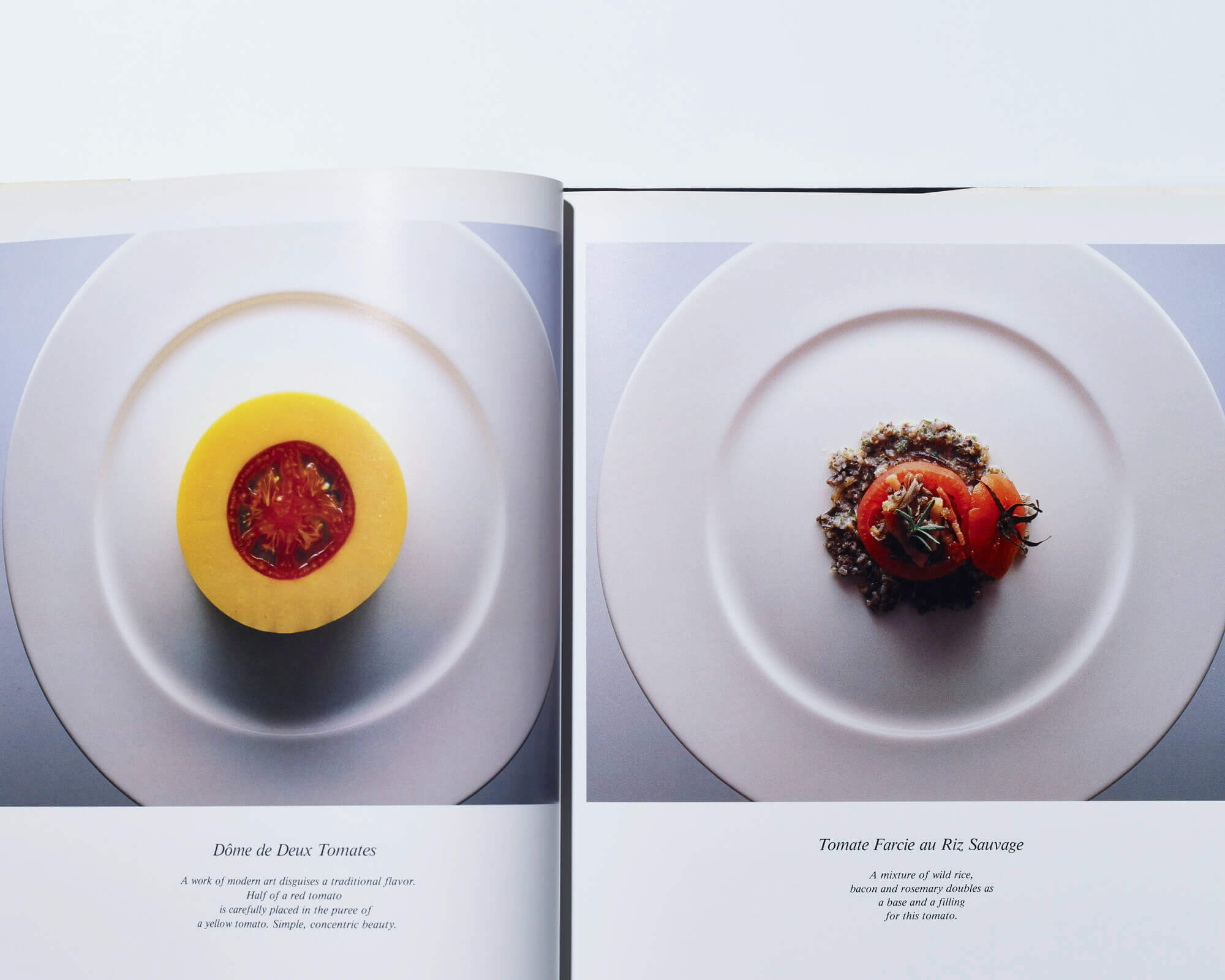 三國清三「皿の上に､僕がある｡｣｜Work｜DIAMOND HEADS INC.