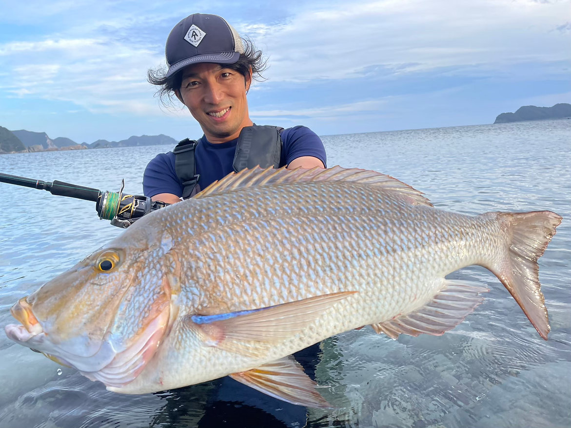 TRANSCENDENCE/トランスセンデンス】Mareflipp 102S / マーレフリップ