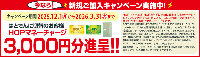 はとでん | 株式会社 平和堂