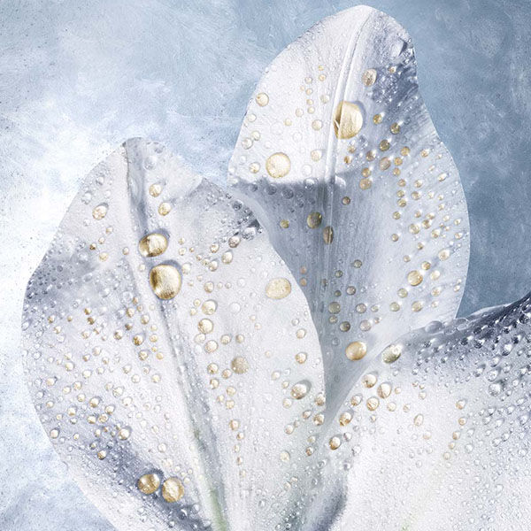 プロディジー CELグロウ - ヘレナ ルビンスタイン公式オンラインストア