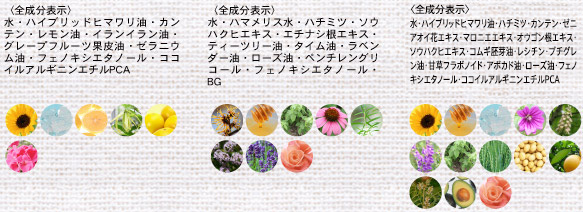 エルブジュールベーシックマンスリーセット エルブベーシック