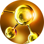 HERMOSA｜Derma THE FIRST