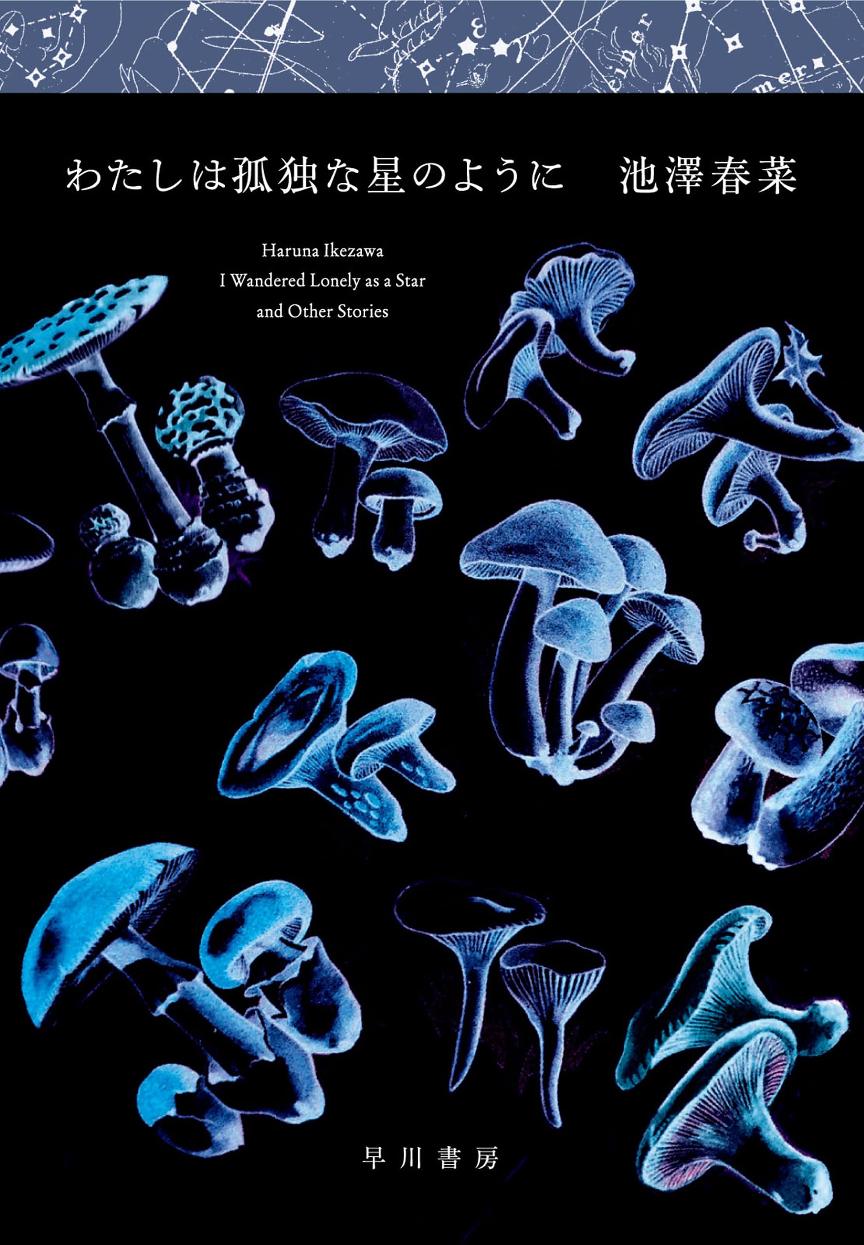わたしは孤独な星のように: 書籍- 早川書房オフィシャルサイト