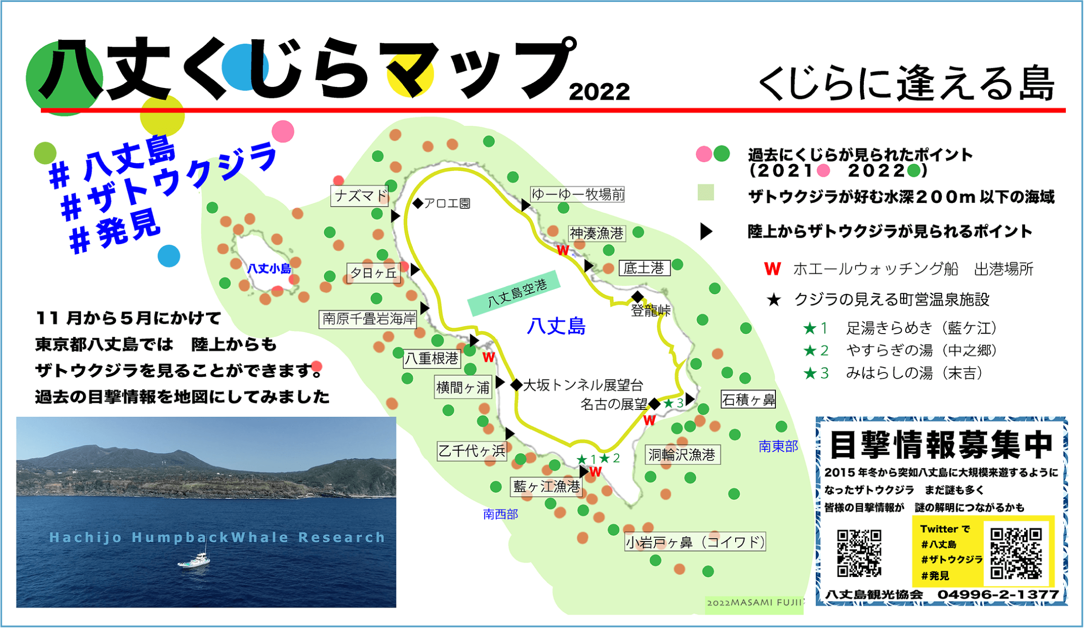 八丈クジラマップ | 八丈島ホエールウォッチング