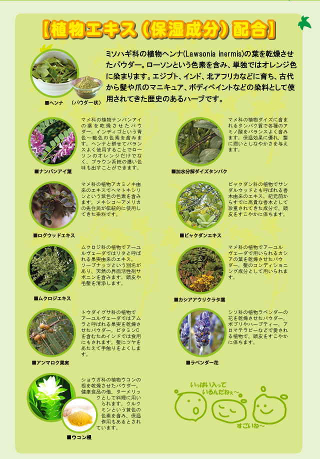 HAHONICO happylife】ハホニコリタ ローソニア