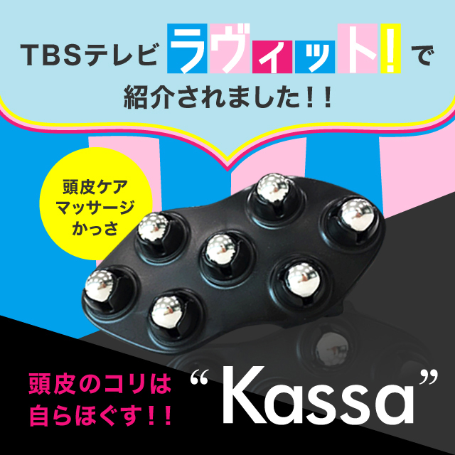 頭皮ケア】 ハホニコプロ トルマリンローラー かっさ