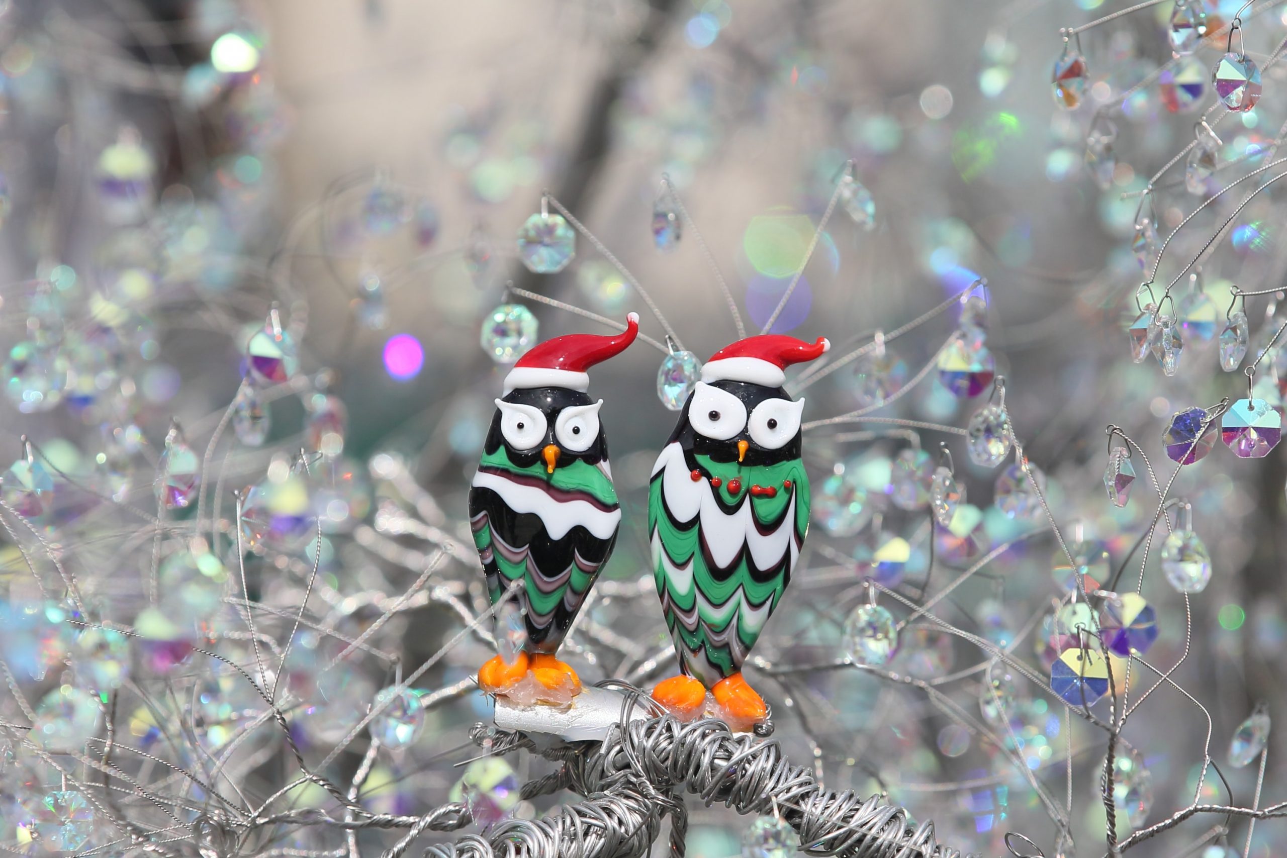 クリスマス特集-2025 | 箱根ガラスの森美術館 | ヴェネチアン・グラス