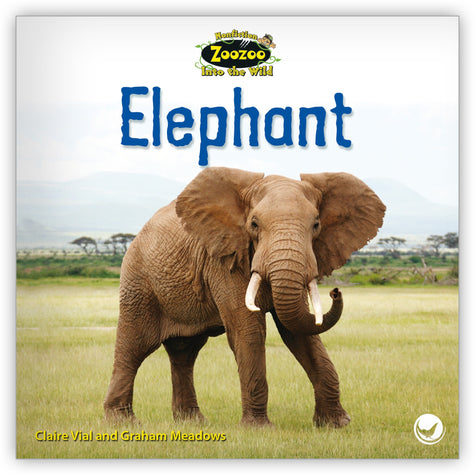 Elephant - Zoozoo Into the Wild - Hameray Publishing
