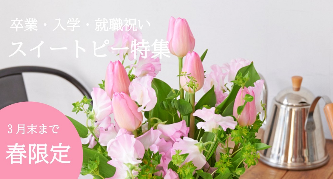 公式】hana｜花・フラワーギフトの通販サイト｜ギフト・インテリア