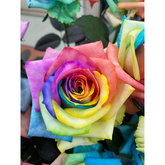 商品詳細｜花プラン｜新潟県新発田市｜バラのブーケ｜記念日・お祝い