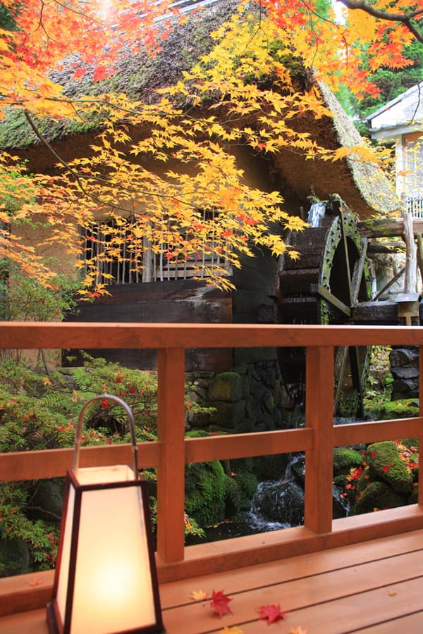 旅館花屋の歳時記 桜・つつじ・紫陽花・紅葉・雪 花を愛でる館内