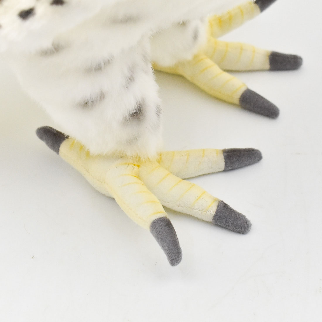 シロハヤブサ 35 | HANSA