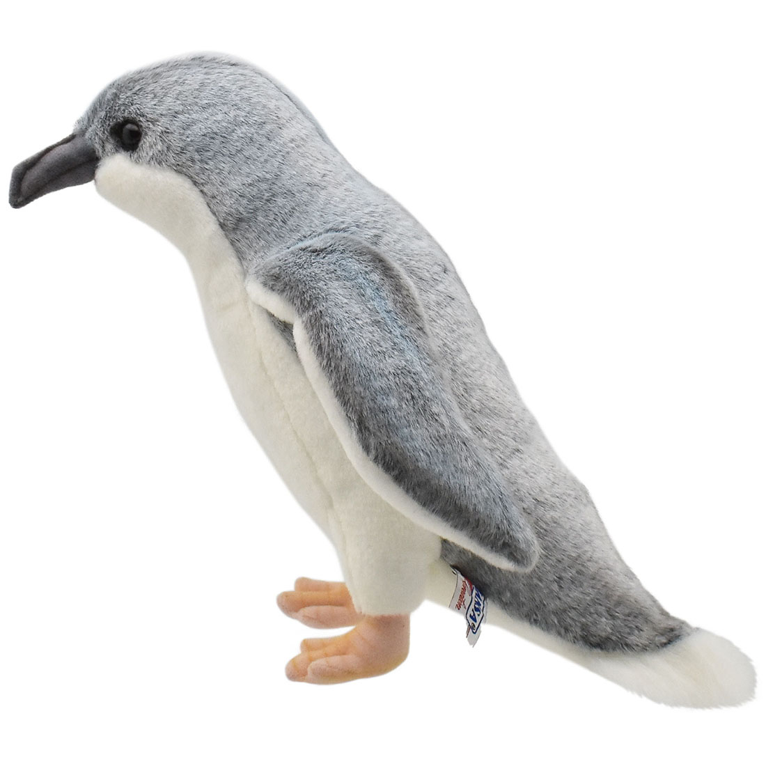 コガタペンギン 25 | HANSA