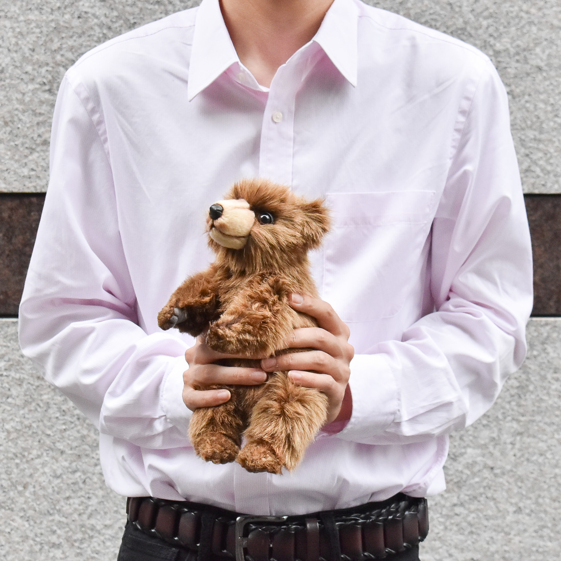 ヒグマ(仔) 28 | HANSA