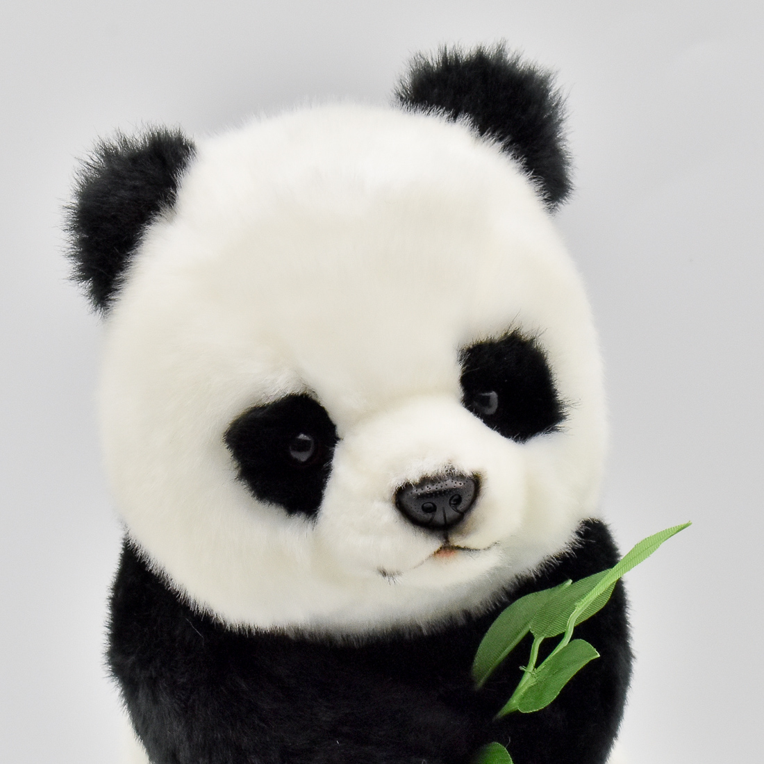 ジャイアントパンダ 26 | HANSA