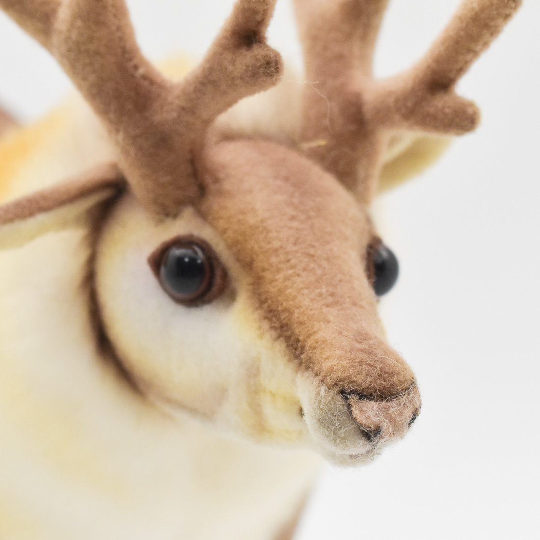 トナカイ 23 | HANSA