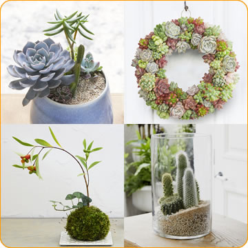 植物雑貨クリエイターの資格が取れる植物雑貨クリエイター養成講座