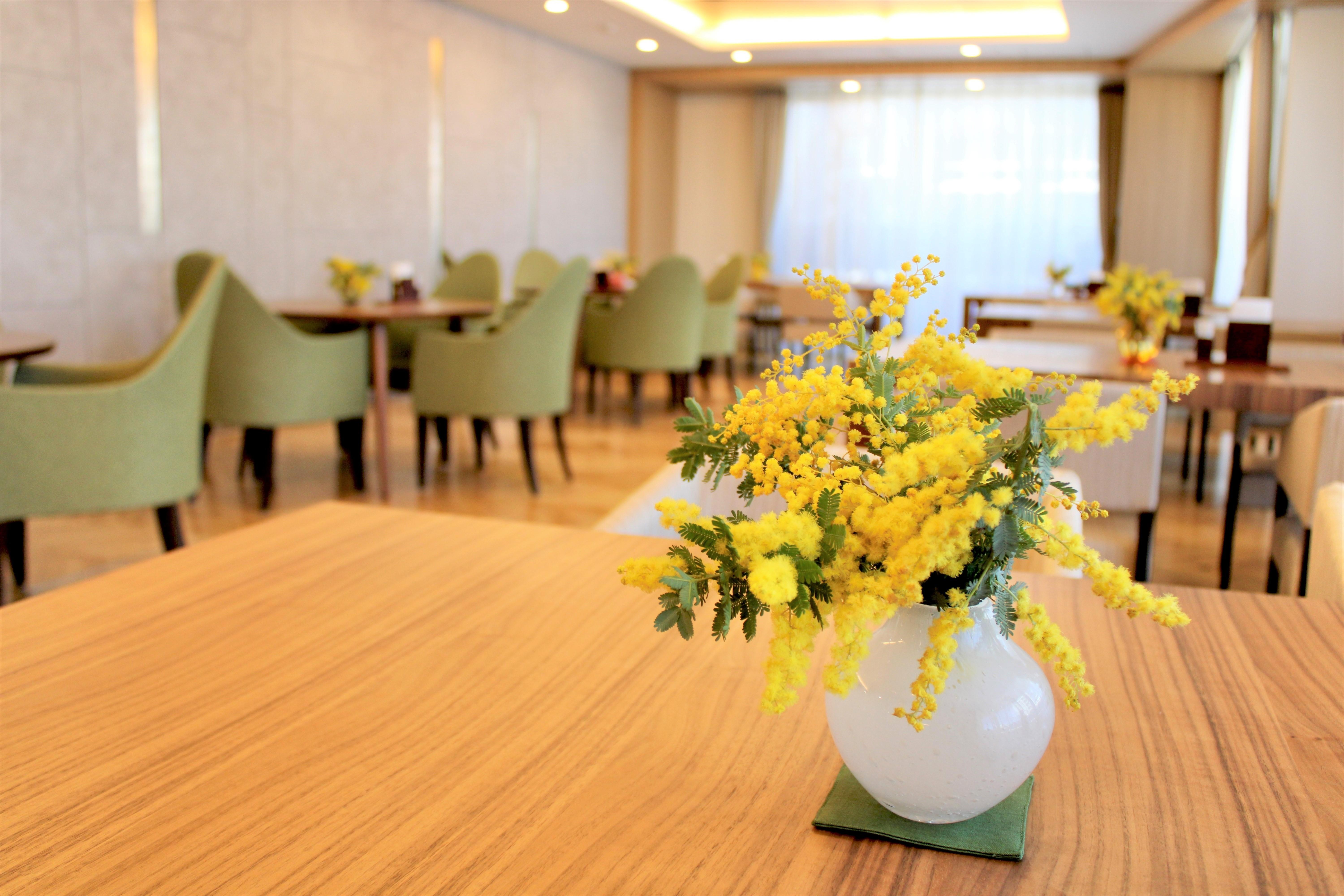 MEGURO MIMOSA FES 2024｜ブログ： ブランシエール目黒｜長谷工シニア