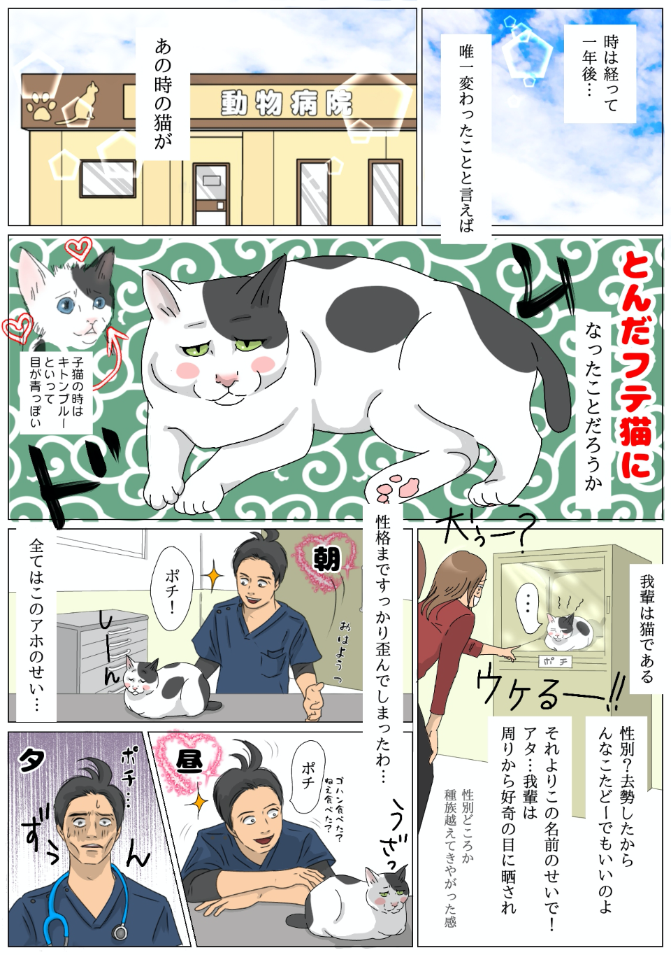 猫マンガ vol.2】「病院猫ポチ」2話 調子が悪いとすぐ調べられる（X線