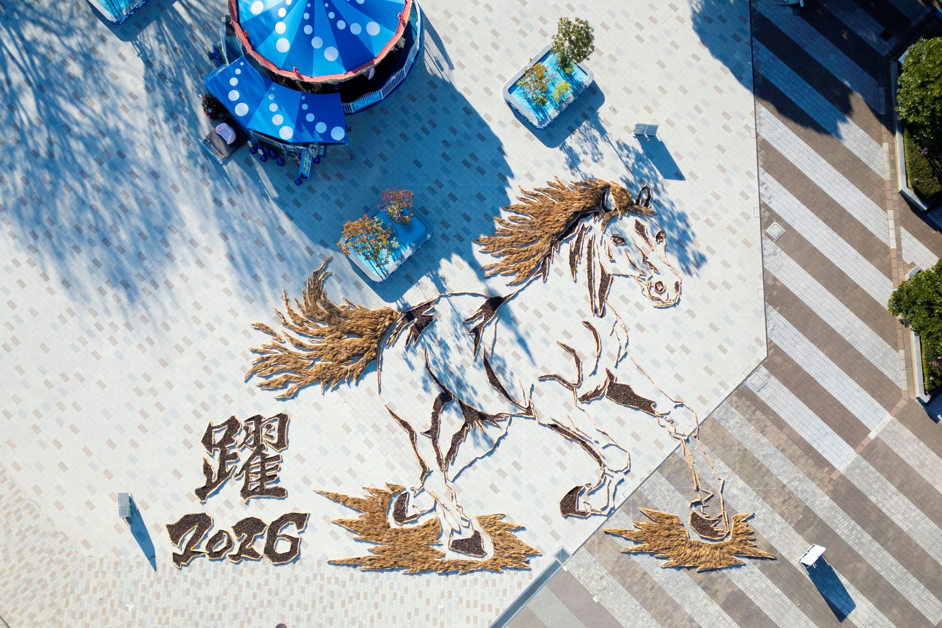 干支の巨大地上絵 | 国営ひたち海浜公園公式ホームページ