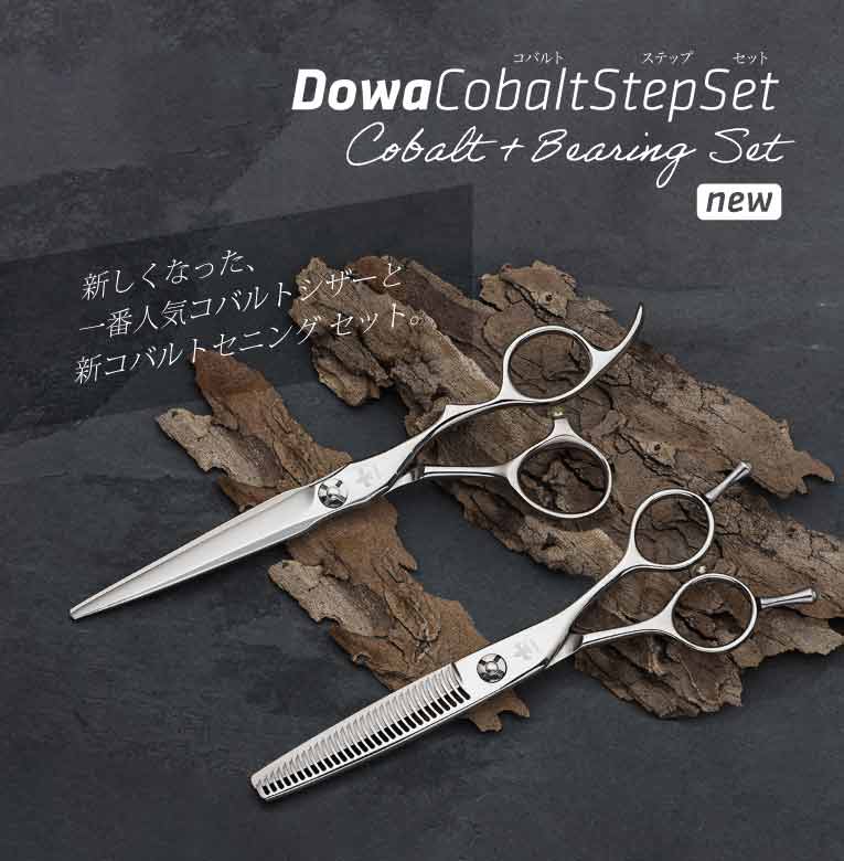 New! Dowa Cobalt Step Set 新しくなった ドーワ コバルト ステップ