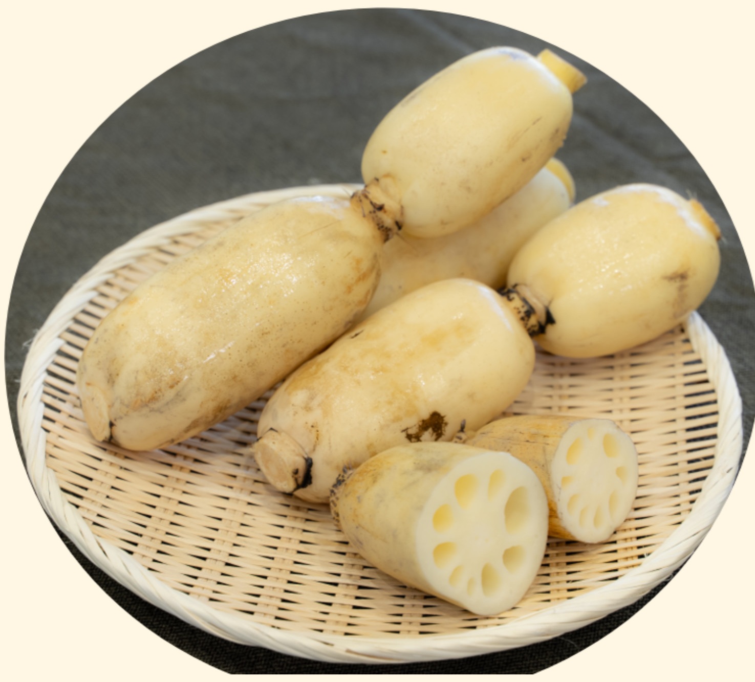 東広島でカワカミ蓮根の直売を今年も開始！ オリジナルブランド「幸祝