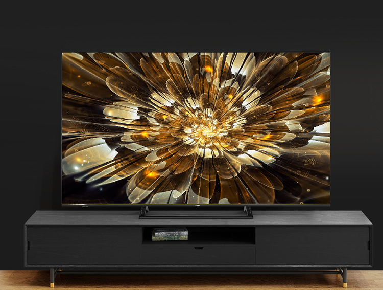 65S6E | ハイセンスジャパン株式会社