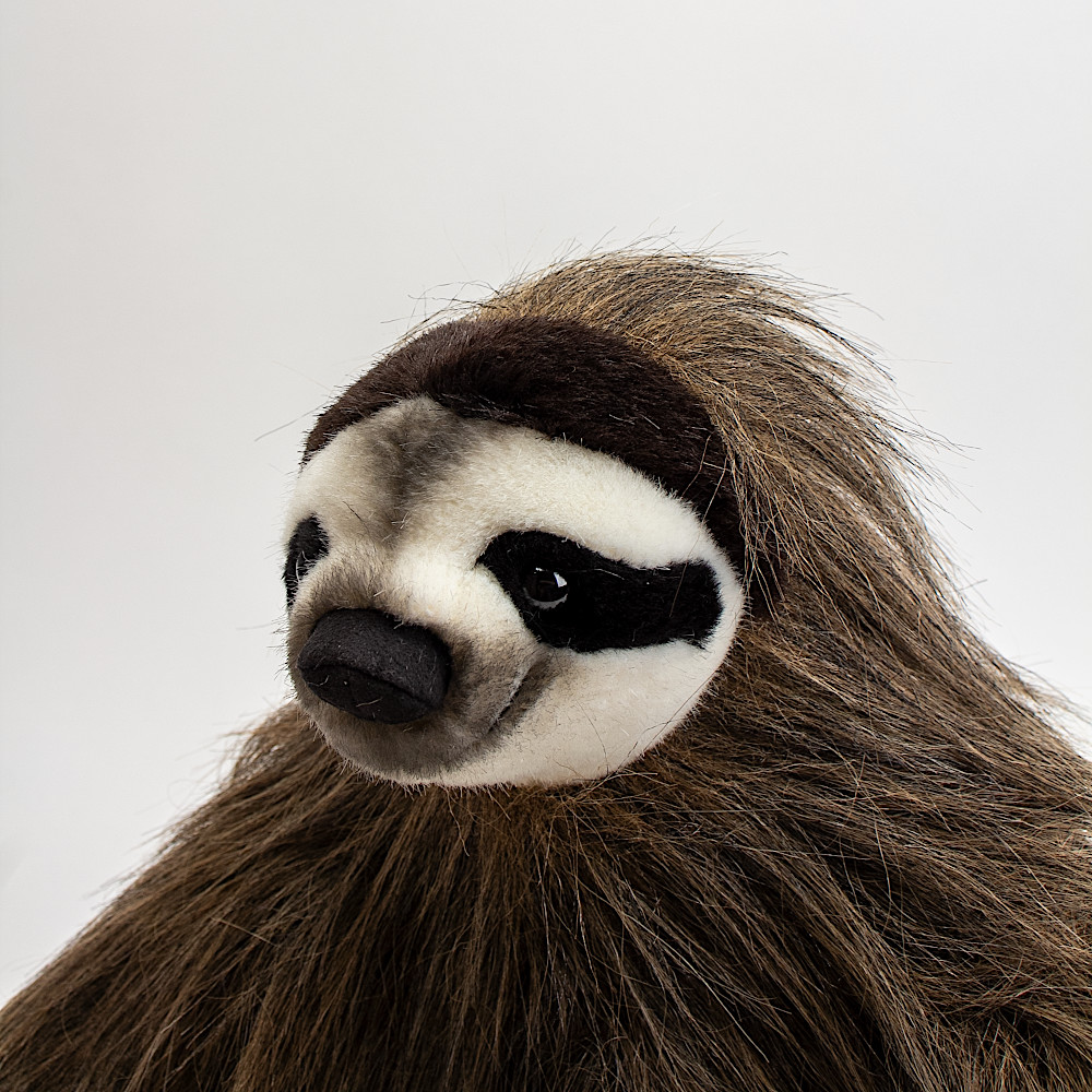 6550 なまけもの：おもちゃ：百町森