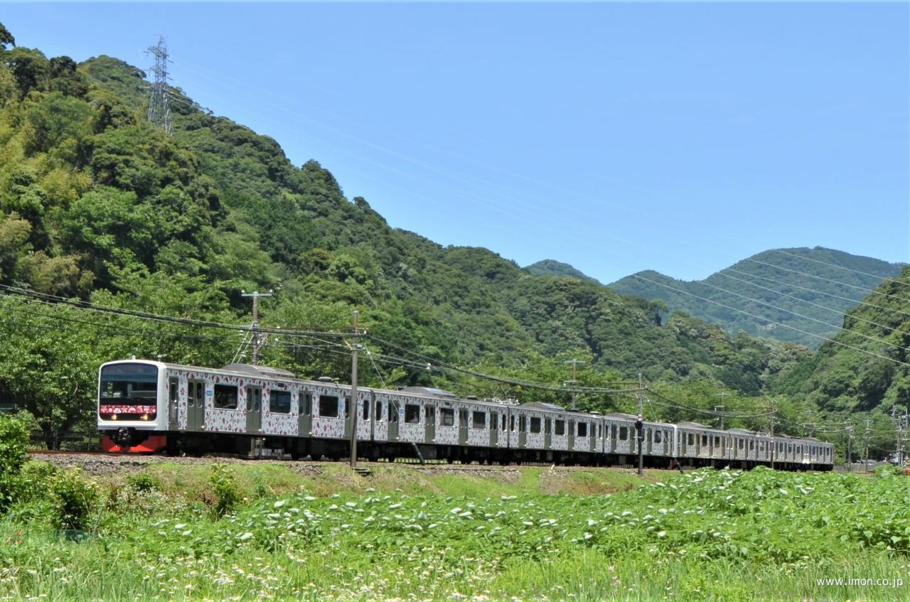 伊豆急3000系「アロハ電車」8両 | 鉄道模型店 Models IMON