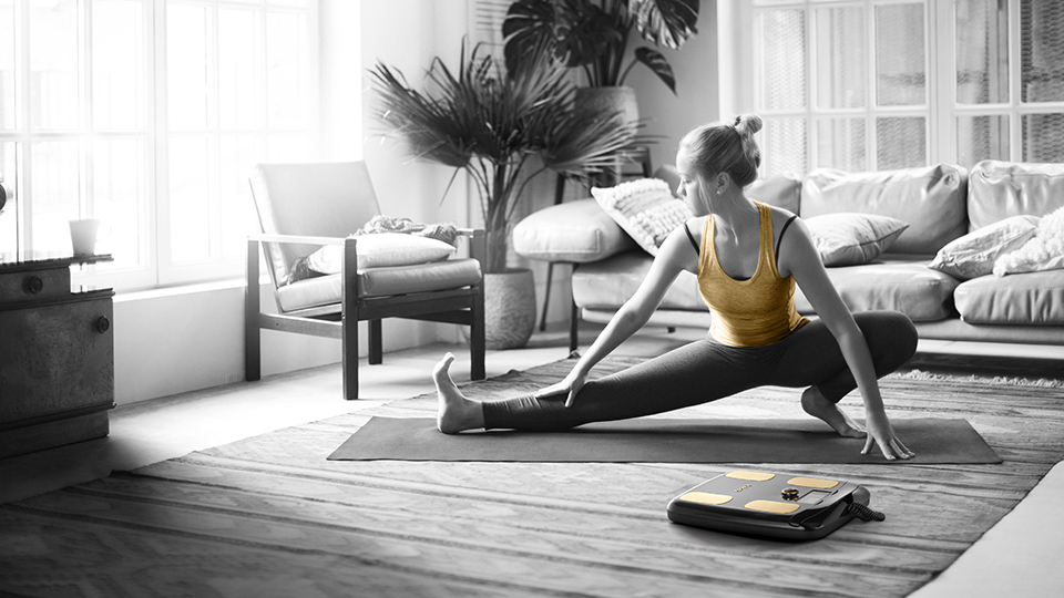 公式】InBody Dial H20