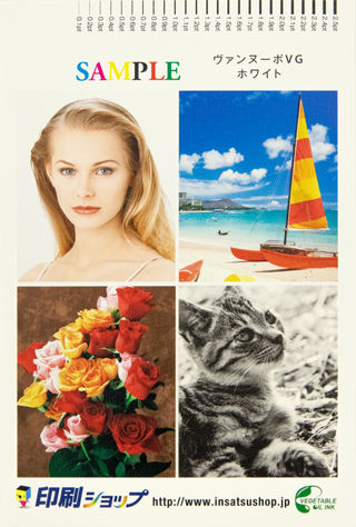 ヴァンヌーボVG | 印刷ショップ