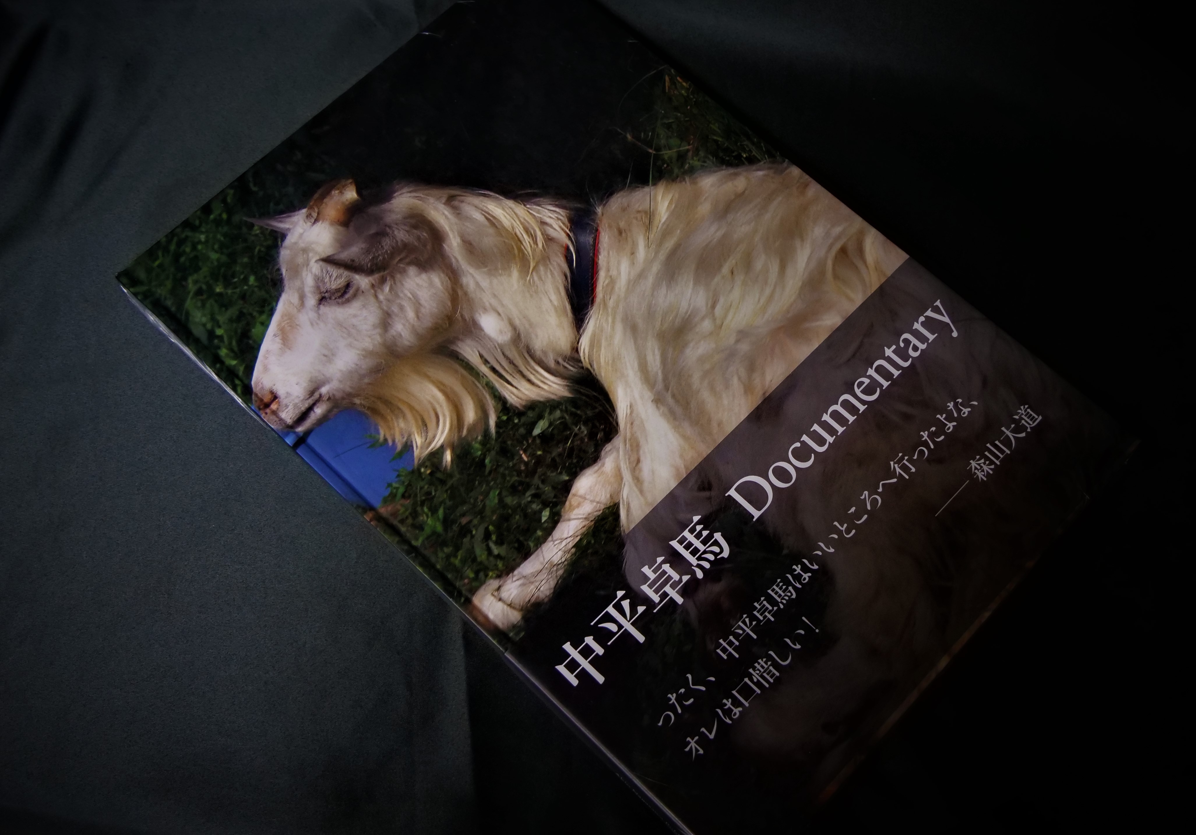 徹底的に「私」を排し「モノ」を「モノ」としてとらえる中平卓馬の珠玉